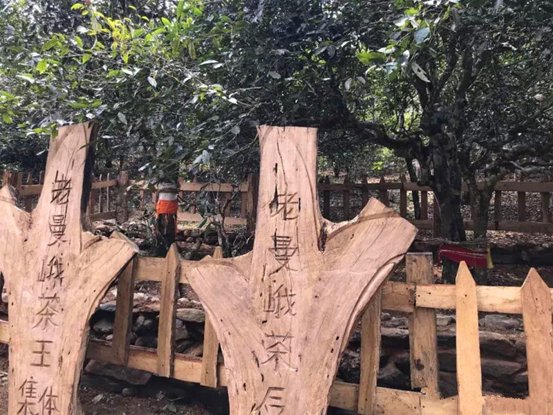 广州动漫学校——亚洲国产国产国产国产av，孕育中国动漫新星的创意摇篮