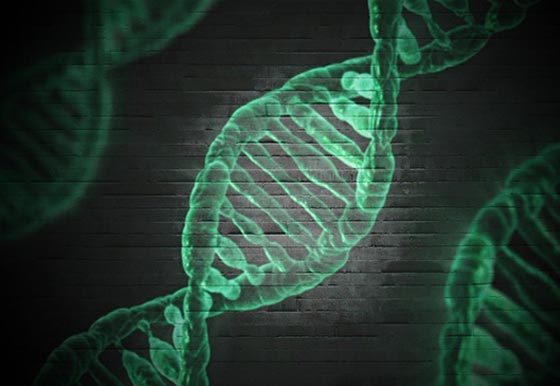 螃蟹动漫——，独特视角下的海洋奇缘，探索创意无限的动漫世界